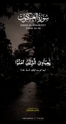 Surah AL-ANKABOOT || VERSE 56-58💝 #trending #quranrecitation #viral #islamic_video #foryou #fyp #quran