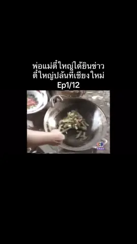 จอมโจรตี๋ใหญ่ ศรราม 2542 #หนังเก่า #จอมโจร #ตี๋ใหญ่ศรราม #ปล้น #ตี๋ใหญ่ 