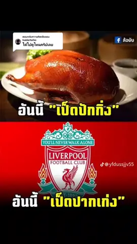 ตอบกลับ @haidarturbo เจอกูบ้าง🤣🤣#fypppppppppppppppppp #ฟีดดดดดดดดดดดดดดดดด #ฟีด #fyp #ไก่ลิเวอร์พูล🐔🐔🐔 #ไก่กุ๊กๆ#ล้อเลียนบอล 