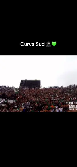 Curva Sud 🥷🏻💚  #rajacasablanca #marocaine🇲🇦 #alnassrfc #sekwadra #curvasud #greenboys2005 #eagles06 #moroccoo #RCA #لعبة_الألتراس #تعيشالفكرة #hamouch #ilyasmalki 