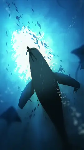 #anime #videowallpaper #animewallpaper #wallpaper #fyp #foryoupage #livewallpaper #sea #ocean 