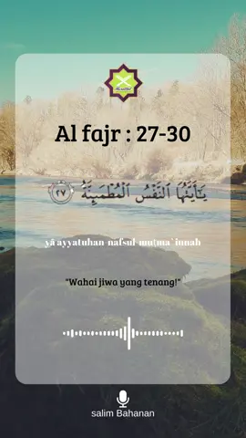 Al Fajr Ayat 27-30 #Murottal98 #murrotalquran #Alquran #ngaji #Alfajr #Tiktok #fyp #fypage 