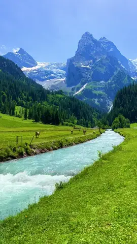 The beautiful Swiss landscape and its animals🇨🇭 Which is your favorite animal? #swiss #swissroads #switzerlandnature #animals #verliebtindieschweiz #swissbeautiful #sisiswiss #switzerland 