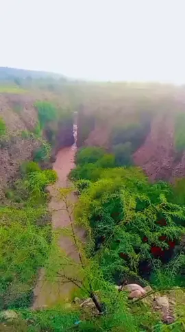 ###viril video ###for you###❤💓💚🧡🖤💛💜💝💖💗💙 