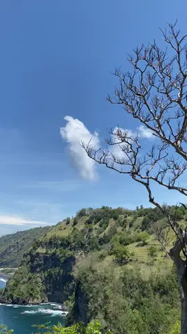 Ingpo tempat healing di bali kawand🍃  #bukitasah #healing #jalanjalan #exploreindonesia #bali #fyp #fypシ #xyzbca 