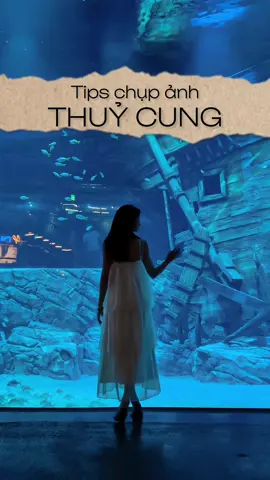 Bí kíp chụp ảnh ở Thuỷ Cung lớn nhất Hà Nội Lotteworld Hồ Tây thế nào cho xinh 🌊📸✨  #lotteworldaquarium #lotteworld #chupanhcunglechi #OPPOReno10Series_5G #ChuyênGiaChânDung #RenoThếHệThứ10 #taodangchuphinh #cachtaodang #fyp #xuhuong #LearnOnTikTok 