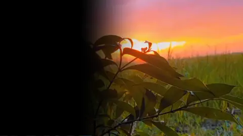 I'm obsessed with this Mashup🎵🥰♥️ #videography #jessEDITZ02 #mobilegraphy #15kfollowers #mashup  #capcuteditor #capcuttemplate #naturevibes #trending2023❤️ 