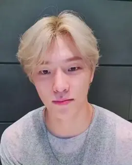 chaannn🤞 #seveenteen17_official #fypシ #dinoseventeen #leechan #dinosvt #dinoseventeenedits 