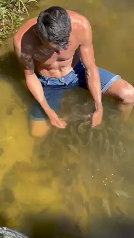 #valdemir  encantador de peixes gigante 
