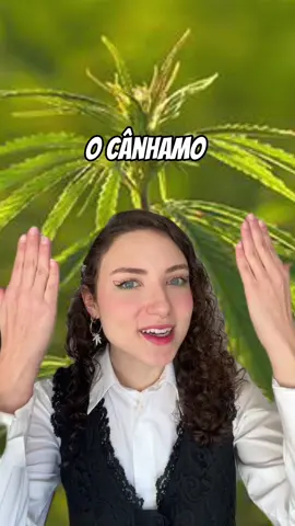 🌱 Ainda tem dúvidas de que ele faz parte da solução?? #canhamo #sustentavel #criseclimática #cânhamoérevolução #aquecimentoglobal 