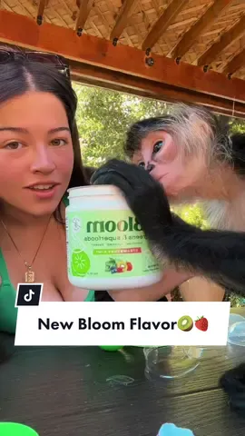 NEW BLOOM FLAVOR! 🥝🍓Linked in my amazon storefront! @Bloom Nutrition #bloompartner #bloomnutrition #greensdrink #kiwistrawberry #fypシ゚viral #foryoupage #bloom #prpackage #unboxing #umboxings #bloomnu #4u #haultok 
