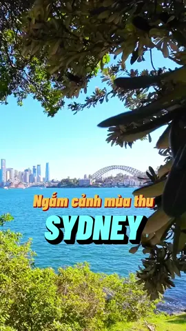 Ngắm cảnh mùa thu Sydney với nhiều điểm đẹp lạ. #travip #yeumaybay #longervideos #LearnOnTikTok