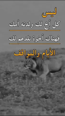 #عبارات #عن #الأخ #dgreenu #الصديق #🤝helping_family🤝 #
