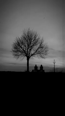 حد ينسي الأيام الحلوة الجميلة اللي عشناها سوا دى ❤ #سلام_ياصاحبي #عادل_امام #سعيد_صالح وغيرهم م الفنانين #eslamelkasar #الصحاب #trending #explore #foryou #تصميم_فيديوهات🎶🎤 #تصميمي #viralvideo #fypage #شير #ادعموني #اكسبلور 