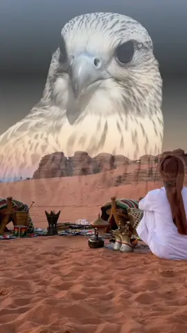 لو جاك من بعض المهابيل زلات#خواطرعين #شعراء_وذواقين_الشعر_الشعبي #قصيد #اكسبلورexplore_o #شعر #tik #شعروقصايد #بوح_شعر #مشاهير_تيك_توك_مشاهير_العرب 