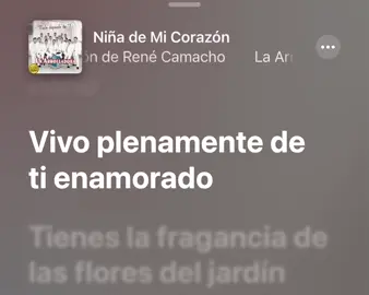 #niñademicorazon #laarrolladorabandaellimón #foryou #parati #fyp 