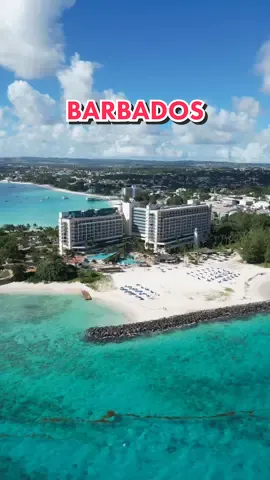 Lost in island bliss. 🏝 Destination Carnival Barbados 🇧🇧 #trinijunglejuice #barbados #hiltonbarbados #islandlife 