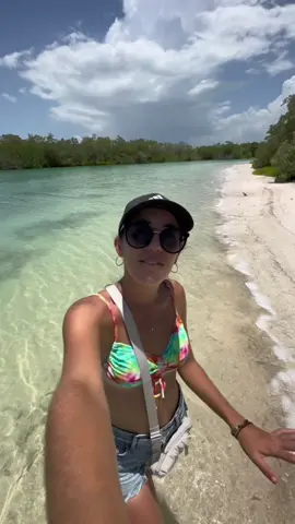 Cuantas cucarachas de mar encontramos!?💖 #parati #foryou #holbox #playa #cucarachas #mar 