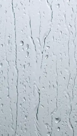 صوت مطر خلف نافذه للتصميم #صوت_المطر #صوت_للتصميم #صوت_مطر #صوت_للمنتاج #التولين #تصميم #مصممين #تصاميم_فيديوهات #تصاميم_المطر #مطر #مطر_غيوم #نافذه_مطر #شباك_مطر  @|'✨'التــــولين'✨’|  @|'✨'التــــولين'✨’| 