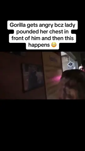 Omg😳 #fyp #gorilla #zoo #breaksglass #scary 