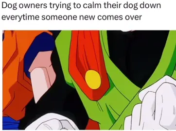 Calm down dont do it 😂😂 #Dogowner #Dog #company #funny #dbz #Goku #Gohan 