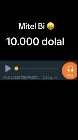 #keloque #bro #tehabla #mitelbi #10000dolal #OHIO #kinohio #wazaaaaaaaaaaaaa👻👻👻 #insano #pvp 