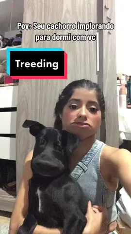 É so o meu ou o de vcs tbm é assim ??#festivaldecomedia #pet #dogsoftiktok 