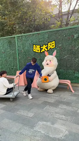 rồi báo nữa #xuhuong #funnyvideos #troll #trendviral #comdy #fyp 