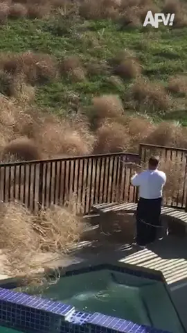 I thought tumbleweeds only existed in cartoons 🤯 #afv #fail #wind #funnyvideos 