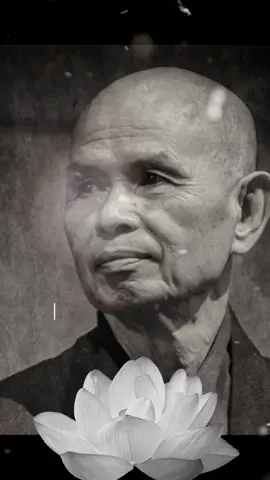 #PhapamVinhNghiem #ThichNhatHanh #Phatphap #Phatphapnhiemmau #tutap #phapthoai #giangphap #ADiDaPhat #Phat #daoPhat #Phatgiao #PhatgiaoVietNam #giacngovagiaithoat #xuhuong #cuocsong #CapCut 