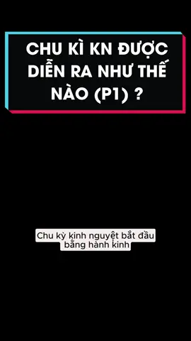 CHU KÌ KINH NGUYỆT (P1) #dhpharmacy #kinhnguyet