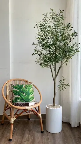 Cây oliu giả 1.8 m #caygia #caygiadecor #caycanhgia #caygiatrangtri #cayoliu #trangtrinoithat #trangtrinoithatdep #caycanhgiadep #shopcaygiahcm 