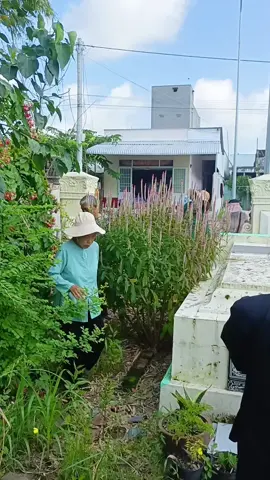 viếng mộ ông Ký Võ Văn Giỏi ở Bạc Liêu tín đồ trung kiên của Đức Thầy #phatgiaohoahao #pghh #baclieu