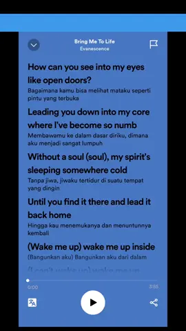 Lirik Terjemahan Bring Me Tones Life - Evanescence #lirikterjemahan #spotifylirycs #evanescence #evanescancebringmetolife #videostory #arizmaharaj #ceritakita #fyp #fypシ #xybca #medantiktok #skena #yukyukfyp #ceritakita🤟🥰 #anakbandmedan 