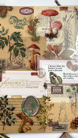 The mushroom season has began, I love mushrooms with all my heart, I love walking in the woods, taking pictures of them, It's incredibly relaxing, my favorite part of Autumn. What do you like about Autumn? 🍁🍄 Used  supplies only from @newcraftday  Check out the link in my bio Code: TTjuzi10 #scrapbooking #asmr #journaling #autumn #forest #woods #mushroom #newcraftday 