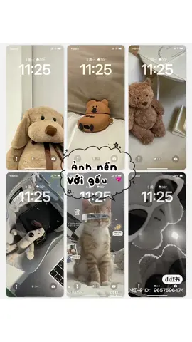 Tiếp tục seri thay ảnh điên thoại nào🧸🧸 #screenlock #fpyツ #anhnen 