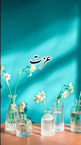 Molana Saqib Raza Mustafai Status 💞✨ #molanasaqibrazamustafai #whatsappstatus #islamistatus #islamic_video #status #new #viral #2023 #tiktok #trending #hzcreation03 