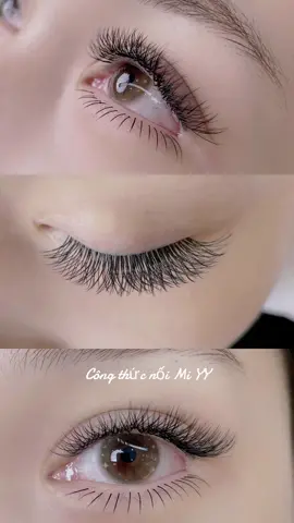 Công thức nối mi chữ Y cho ce nào cần 