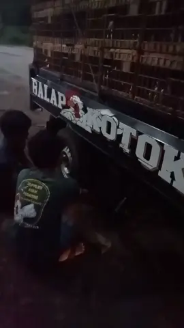 apes di malam Minggu kenek na can mandi🤣🤣 #balap_kotok_01 