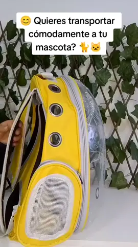 Maleta cápsula para mascotas 🐱 🐈 🔥$11.15🔥  #ecuador🇪🇨 #ecuador #quito #quito_ecuador #quito_ecuador🇪🇨 #productos #producto #viral #mascotas      #maletas #promociones #importadoras #parati #flypシ #fly #sanrafael #tumbaco #sanluis #cumbaya #pifo #valledeloschillos #guamani #recreo #amaguaña #centrodequito #nortedequito #surdequito #tiktok #tendencias