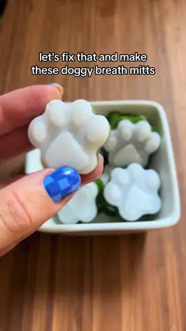 Lets make doggy breathmints 🦷✨ no more stinky breath. This made so many treats 🫶🏼  #dogbreath #dogbreathmints #homemadefreshbreathdogtreats #dogbreathing #dogbreathstink #dogpopsicle #smoothietreat #smoothietreatsfordogs #dogtreats #dogtreatsrecipe #enrichmentfordogs #dogenrichment #mealtoppersfordogs #summerdogtreats#dogsupplements #dogteethcleaning #mintfordogs#dogodor #dogteethbrushing #amazondogmusthave #dogtreatmolds #dogfoodrecipe #dognutrition 