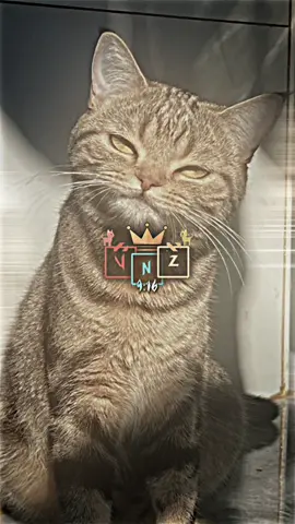 Konsep atur sendiri   #presetdibawah5mb #presetxml #preset #fypシ 