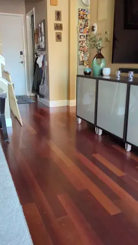 Using his favorite treats to reinforce the leaves it command. Still learning but is doing great Simple training like this throughout the day is so easy to reinforce and beneficial for long term training. I always have bags of @remysk9kitchen   around to reinforce that good behavior  #doberman #brucethedoberman #rubydooby_do #dobermann