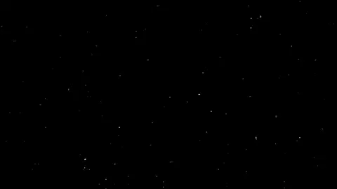 lágrimas caindo e pétalas | #pétalas #tavin #legenda #edit #fyp 