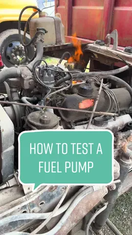 The Ford 361 External Combustion Engine #fordcabover #abandonedcar #cabover #fordcseries #fordft #farmtruck #mechanic #willitstart #willitrun #thatsalottadamage #juryriggedauto 