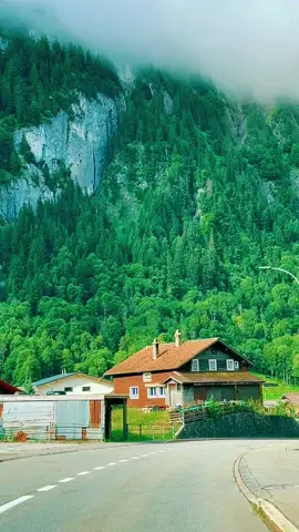 These stunning views 🏞️🌲🌲🌲 #view #switzerland #swiss #uri #landscape #naturelover #wonderfullandscape #fy #foryou 