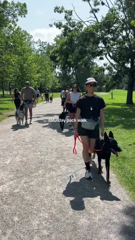Saturday morning pack walk with awesome dogs 🙃 #packwalk #dogpackwalk 