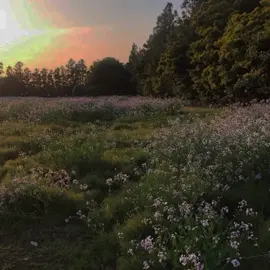 Yo y los no correspondidos cuando:  #tiktokponemeenparati #tiktokponemeenparati #tiktokponemeenparati #fypシ #ariela640 #music #fypシ゚viral #tiktok #foryou #fpryoupage #parati 