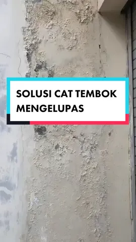 Reference : supertreeproperty  Cat tembok mengelupas, ini solusinya   #alkalisealer  #paladin  #catpaladin 
