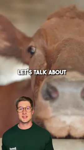 Don’t support animal confinement! #smallfarm #regenerativeagriculture #farmshare #factoryfarming 